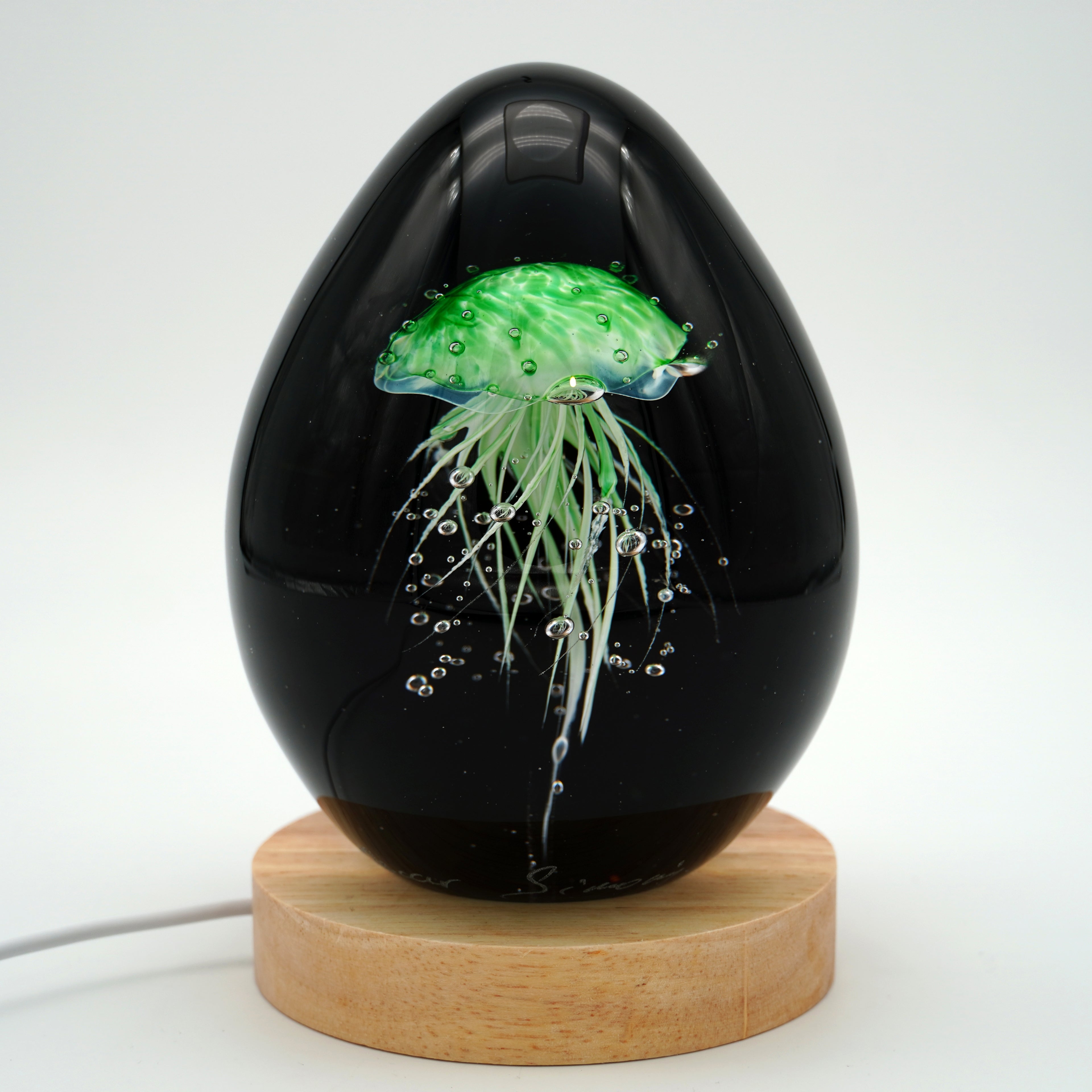 Méduse à fond noir (11 couleurs)