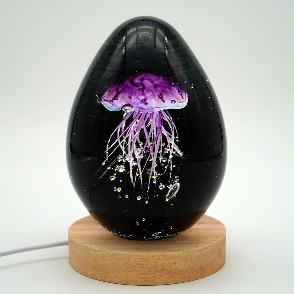 Méduse à fond noir (11 couleurs)