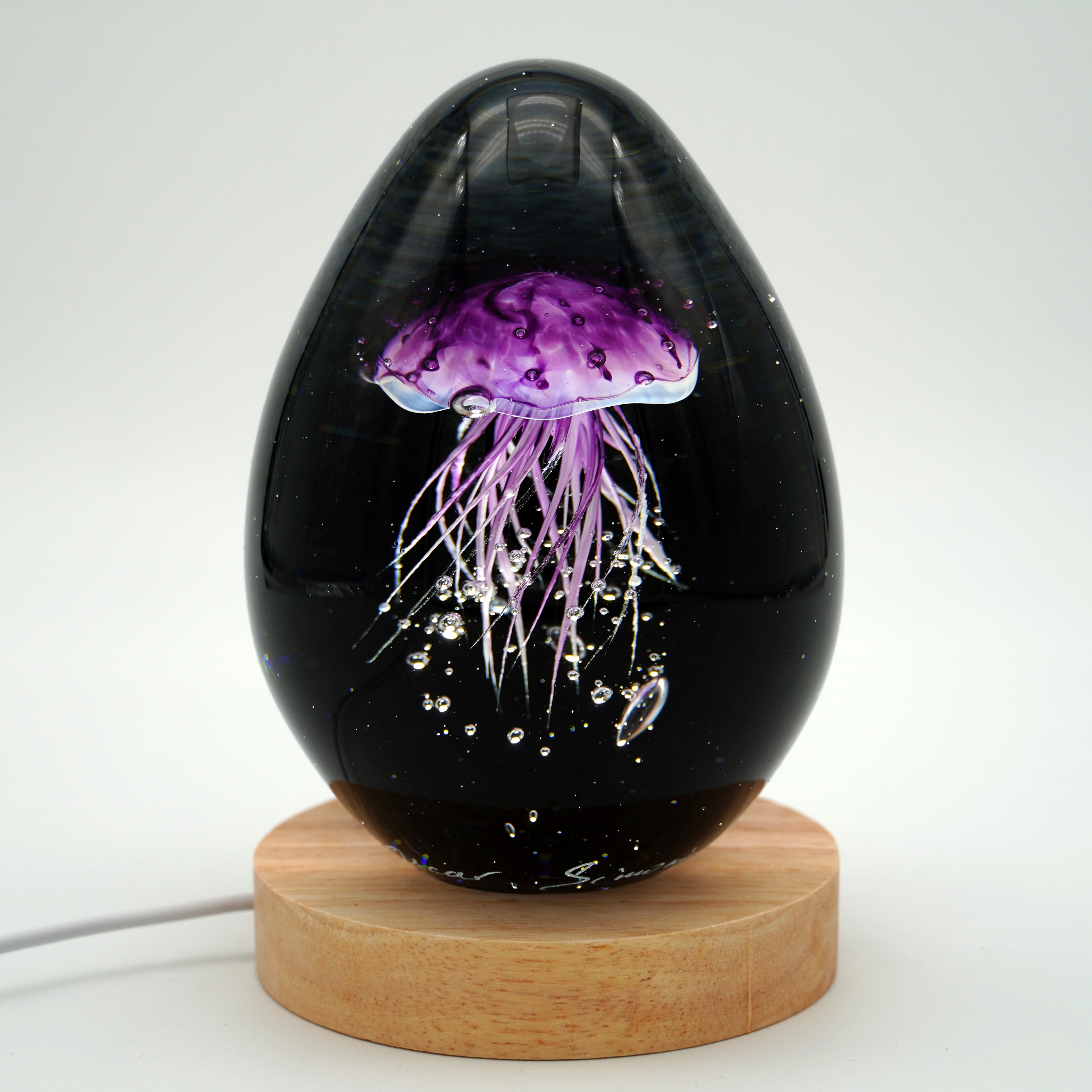 Méduse à fond noir (11 couleurs)