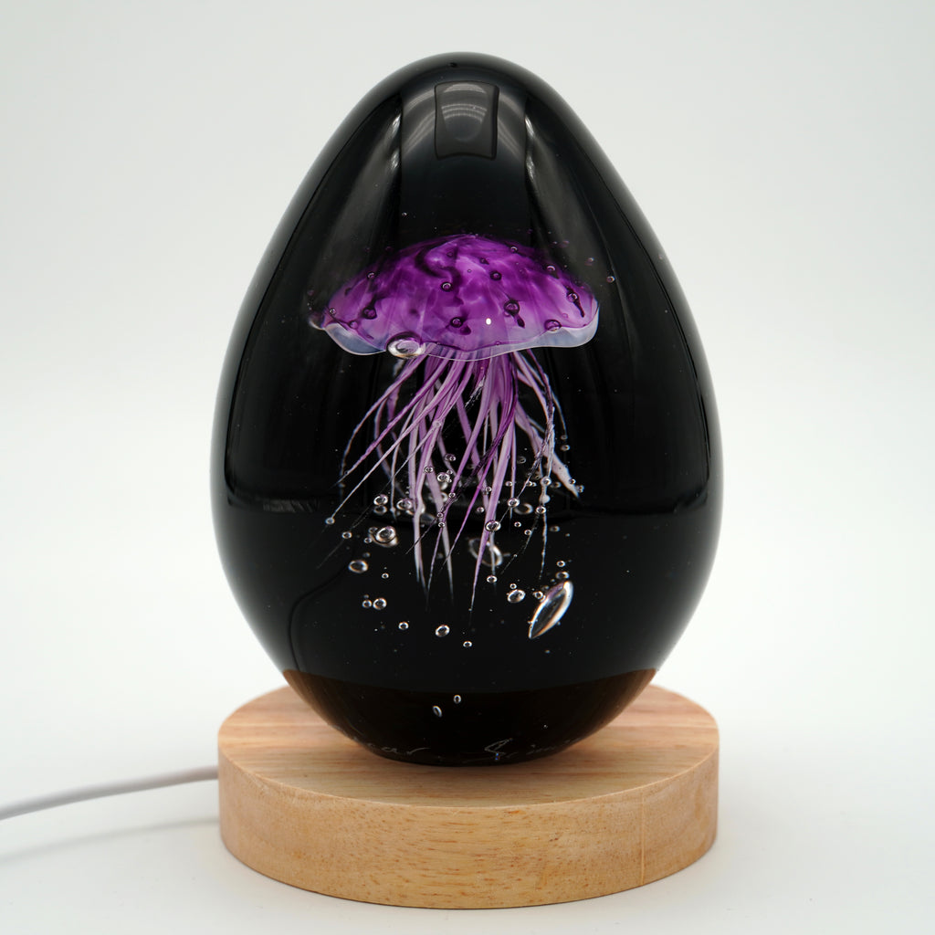 Méduse à fond noir (11 couleurs)