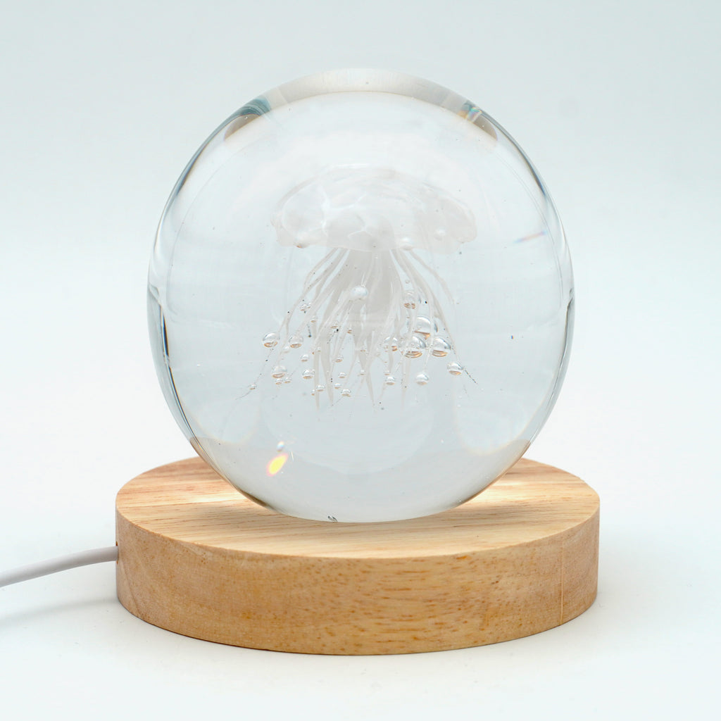 Méduse ronde (déclinable en 11couleurs)