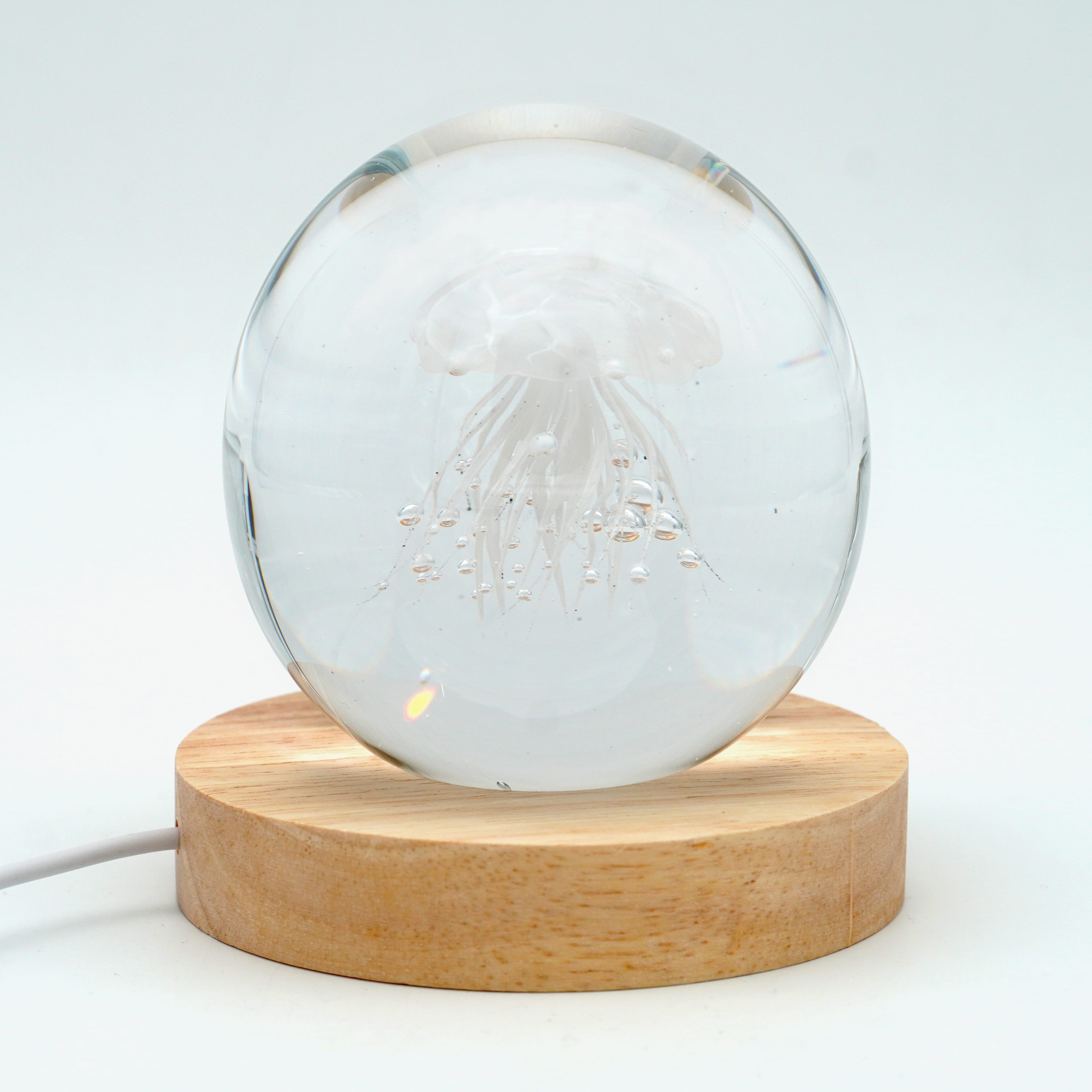 Méduse ronde (déclinable en 11couleurs)