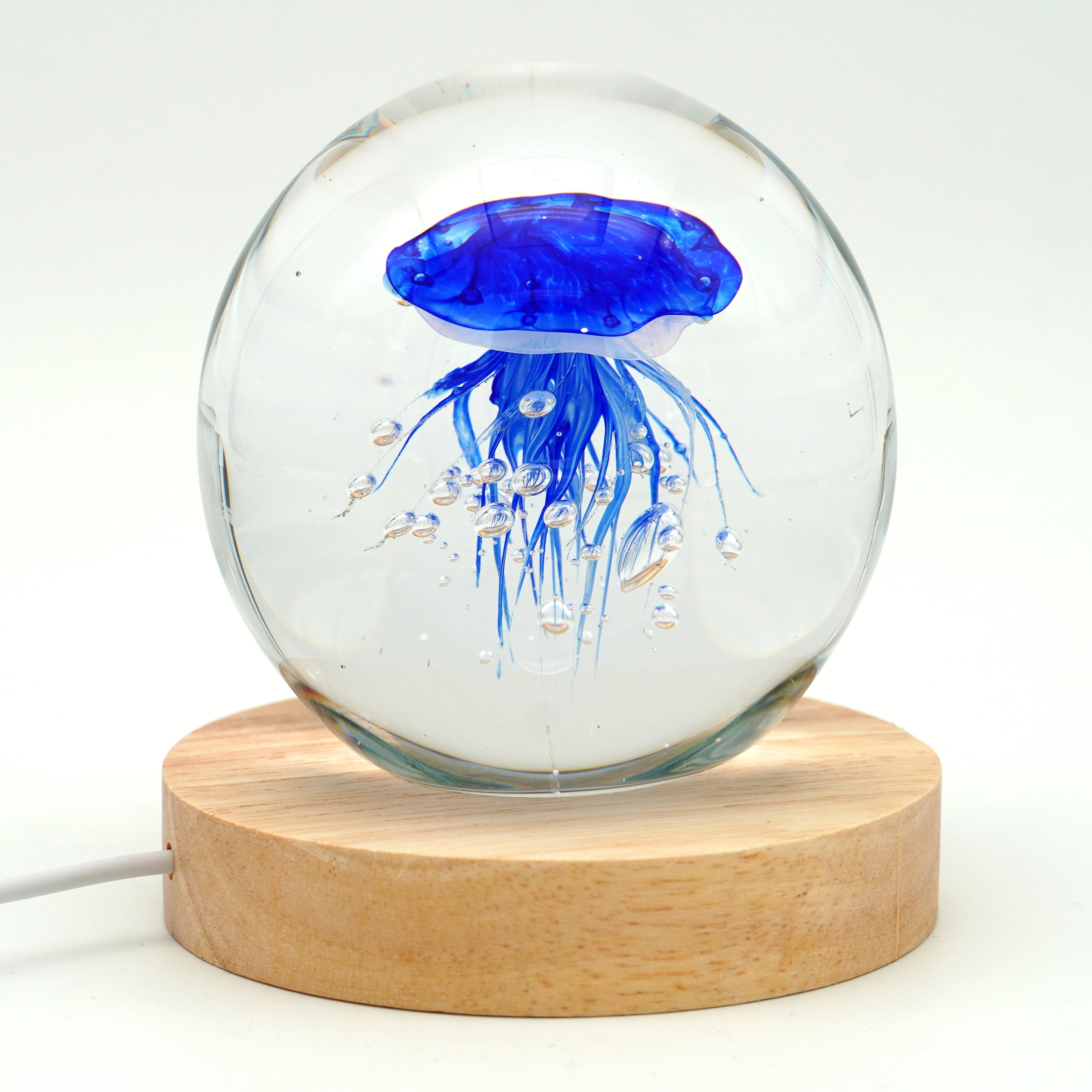 Méduse ronde (déclinable en 11couleurs)