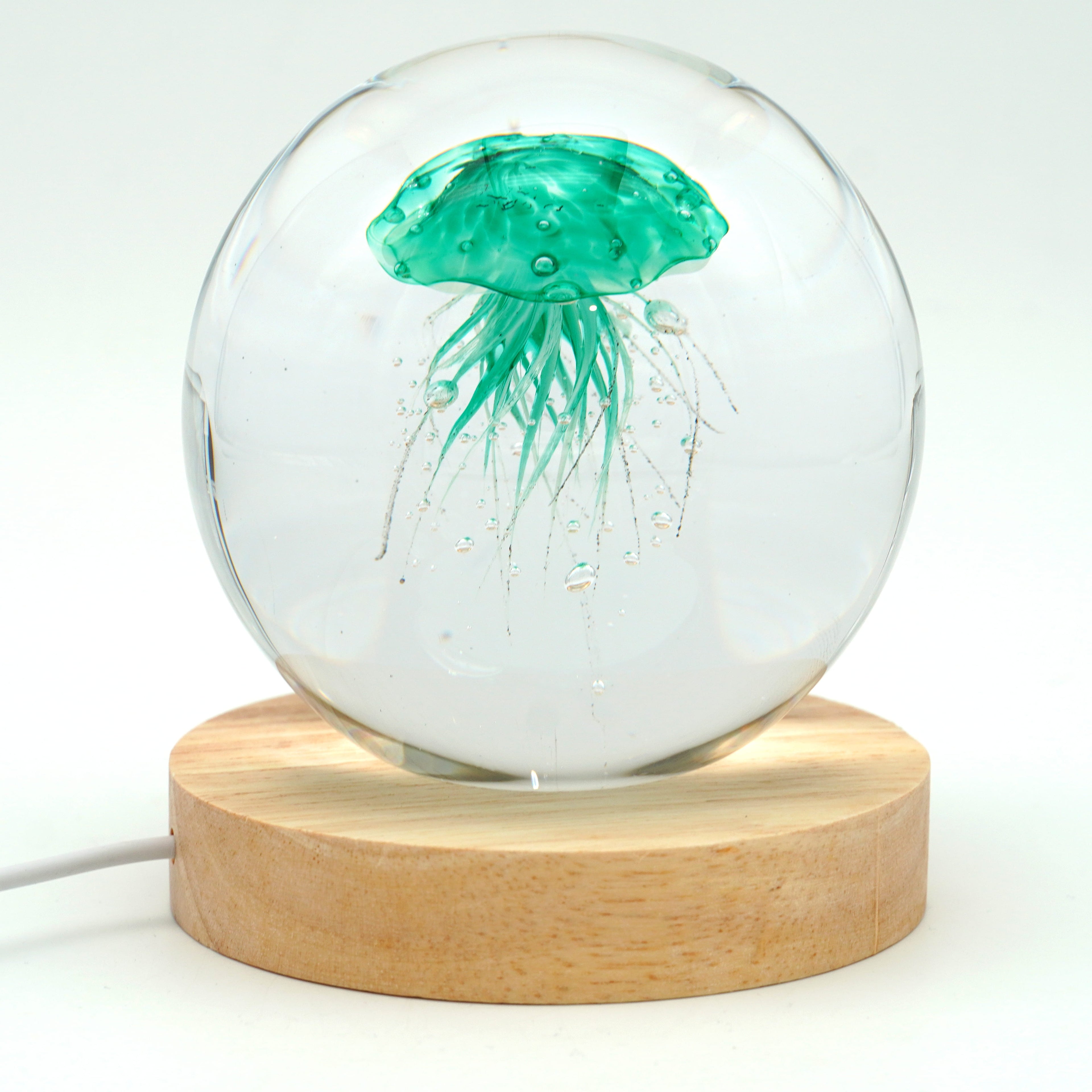 Méduse ronde (déclinable en 11couleurs)