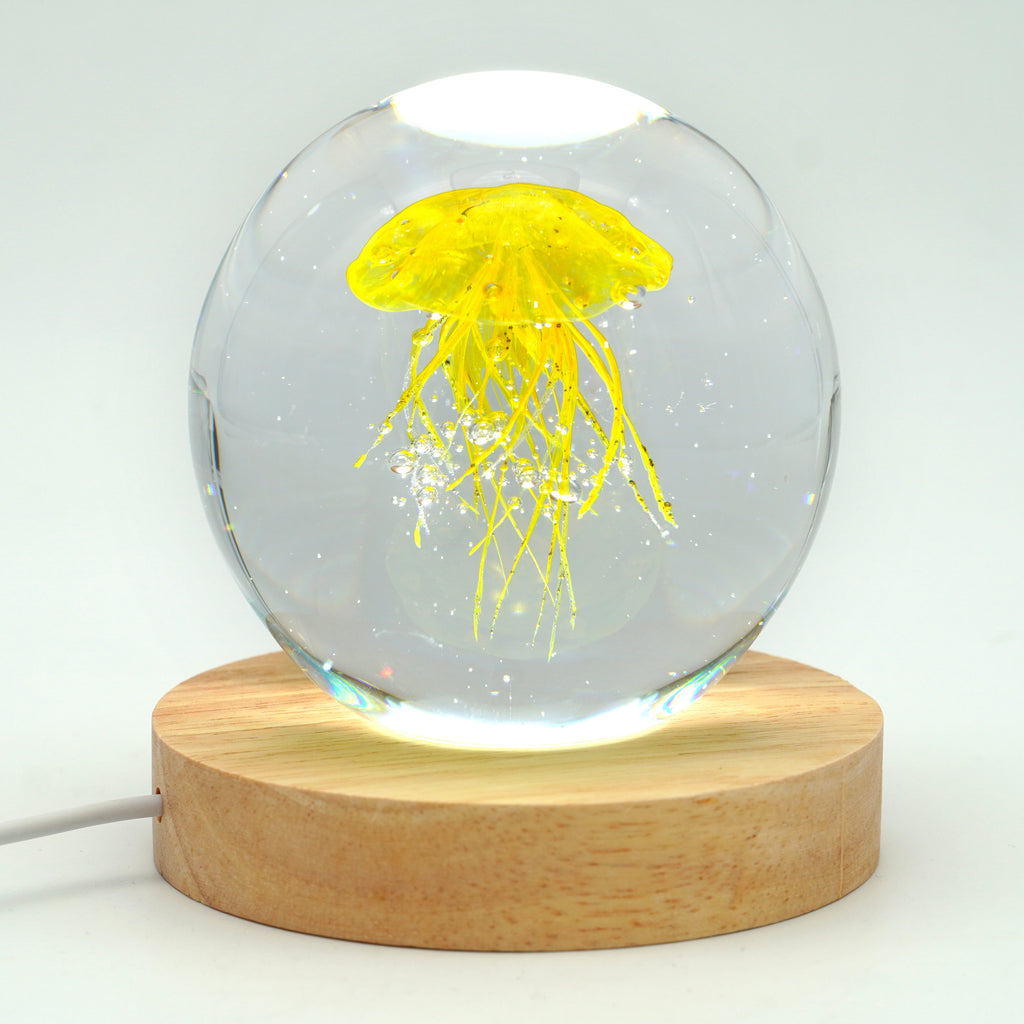 Méduse ronde (déclinable en 11couleurs)