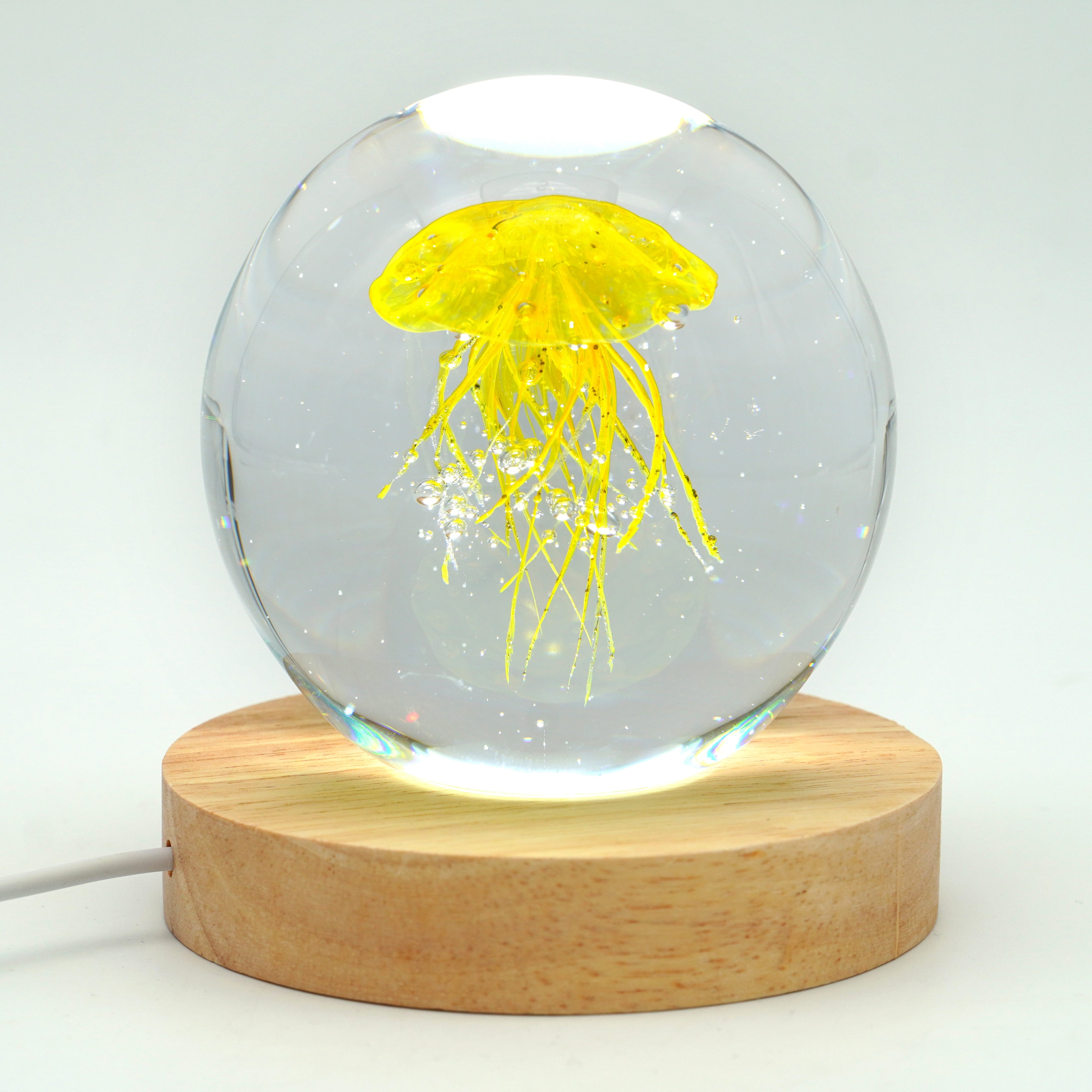 Méduse ronde (déclinable en 11couleurs)