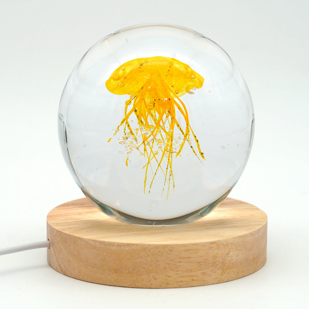 Méduse ronde (déclinable en 11couleurs)