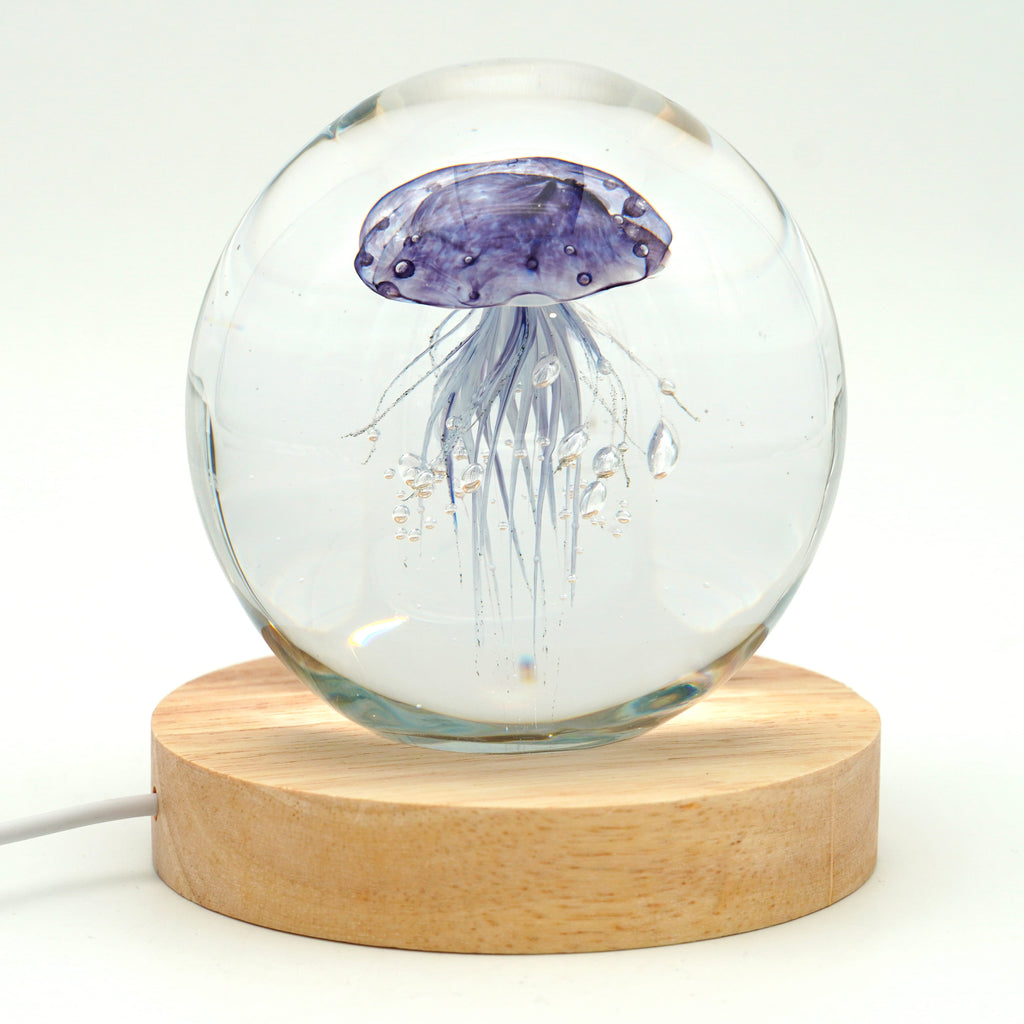 Méduse ronde (déclinable en 11couleurs)