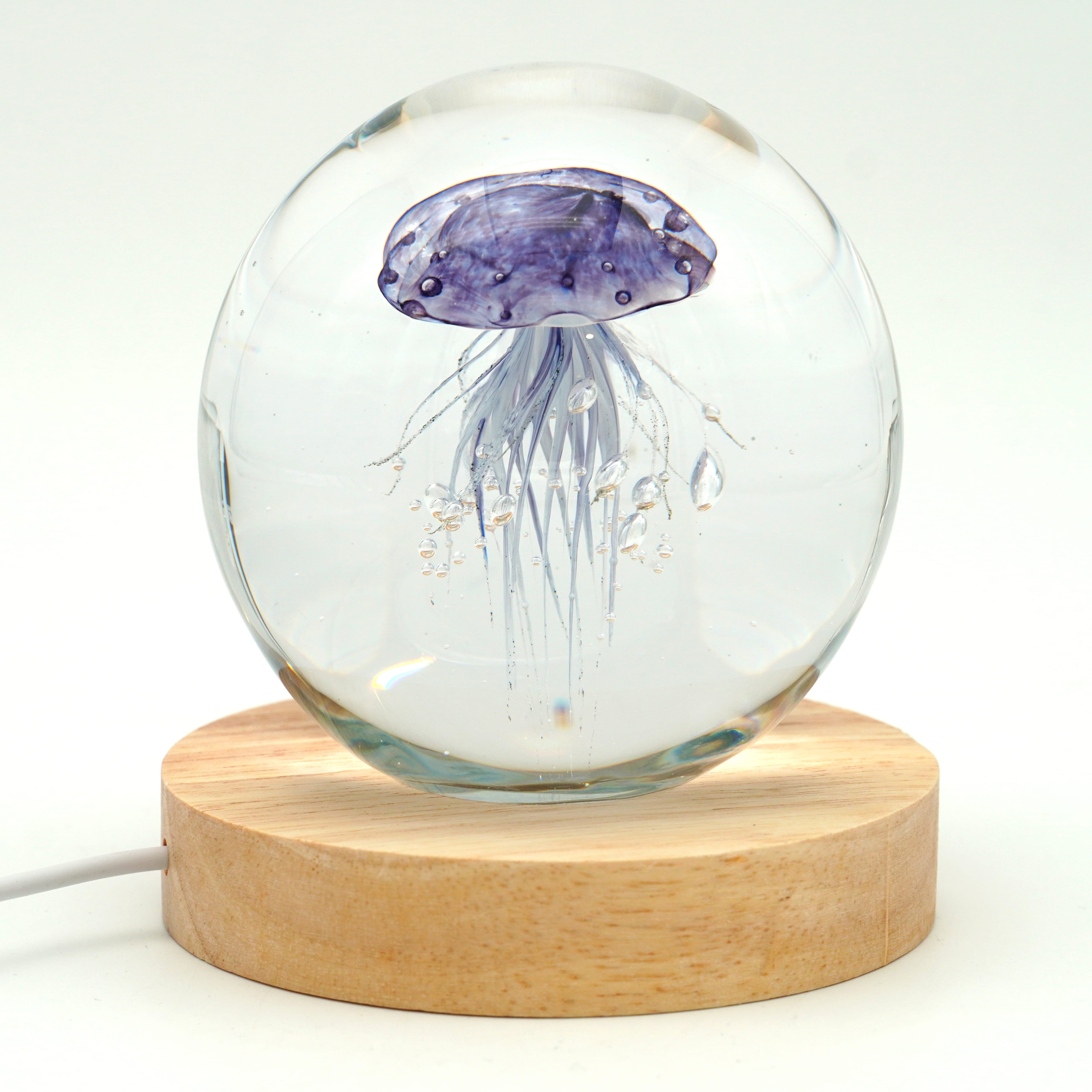 Méduse ronde (déclinable en 11couleurs)