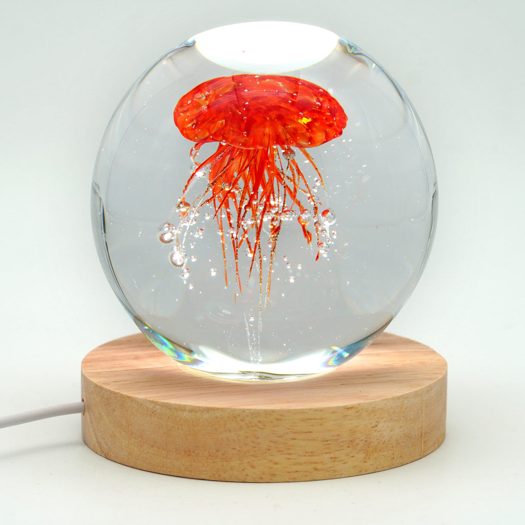 Méduse ronde (déclinable en 11couleurs)