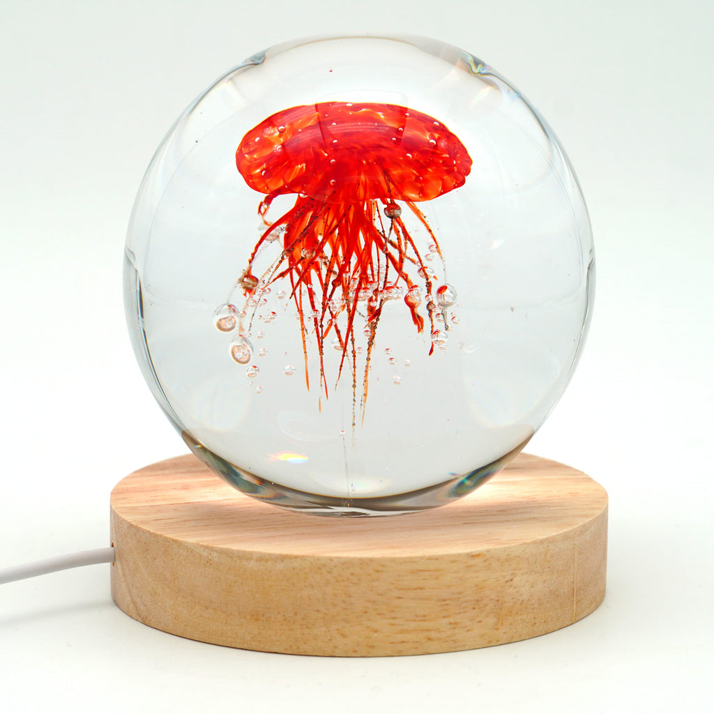 Méduse ronde (déclinable en 11couleurs)