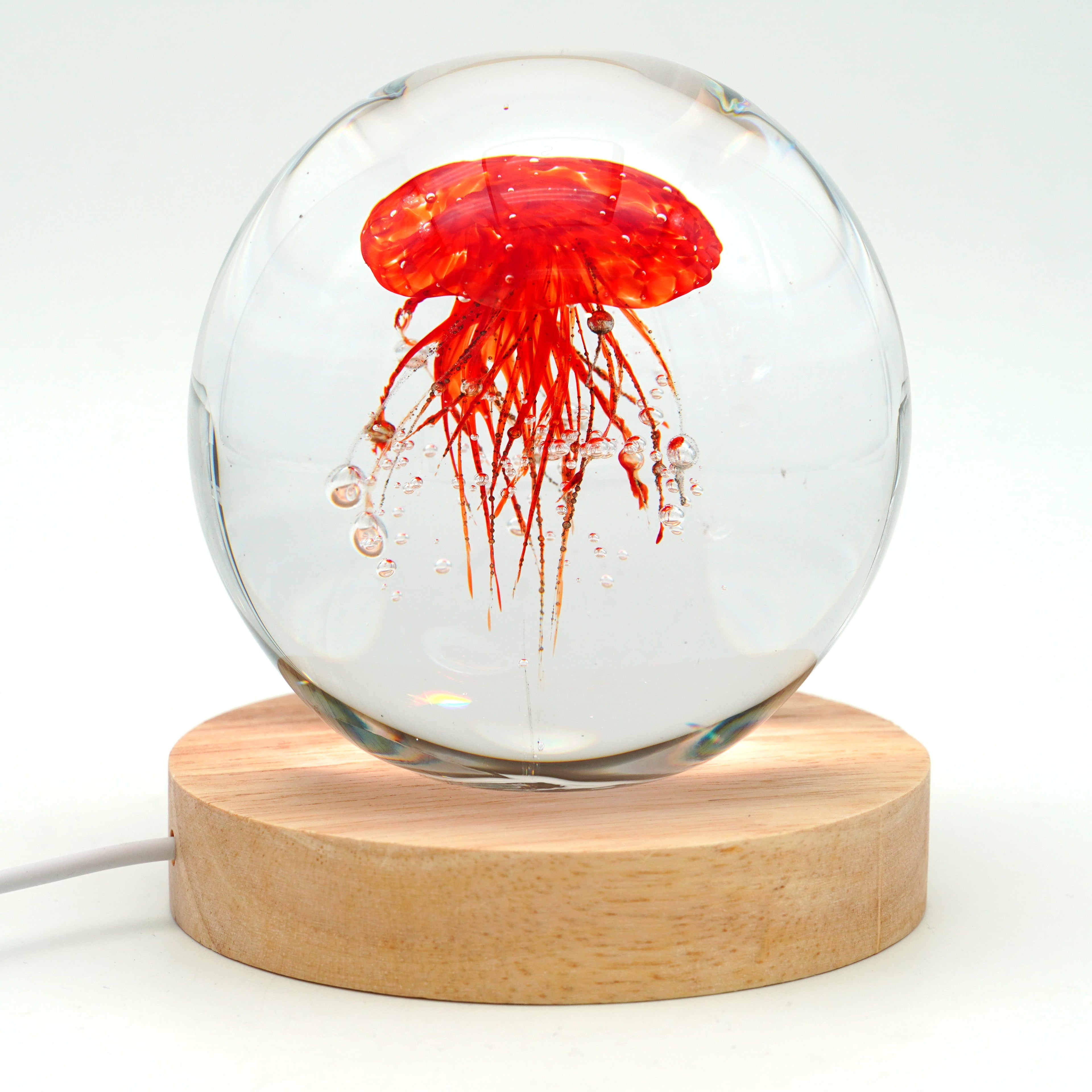 Méduse ronde (déclinable en 11couleurs)