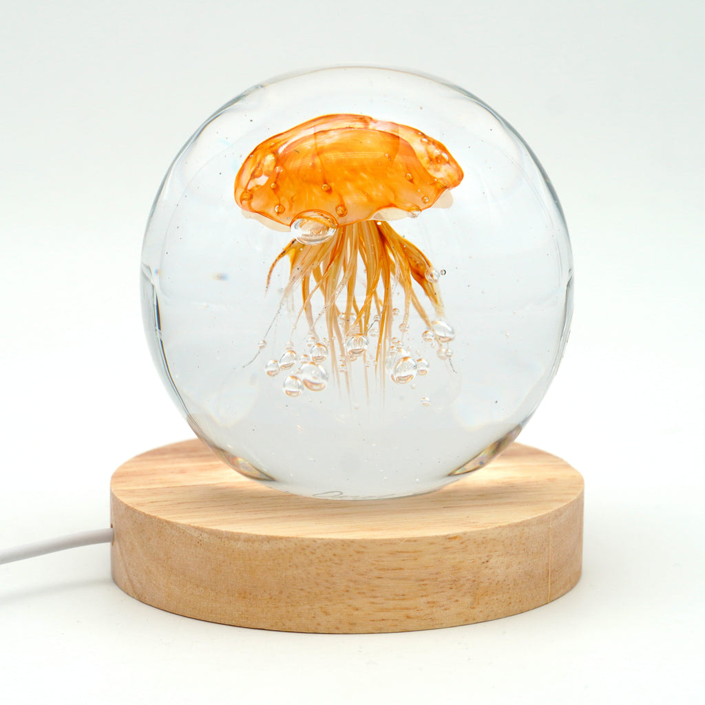 Méduse ronde (déclinable en 11couleurs)