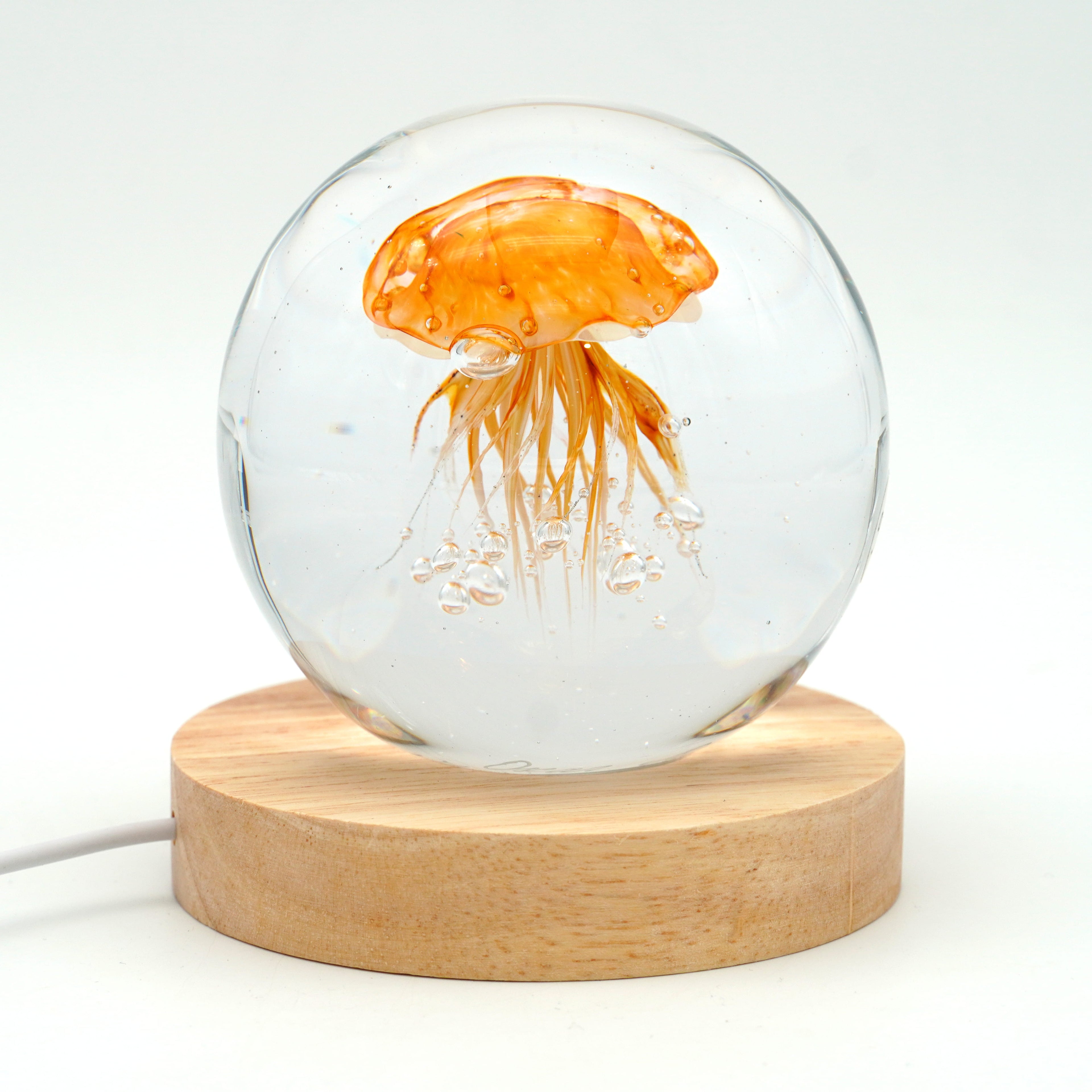 Méduse ronde (déclinable en 11couleurs)