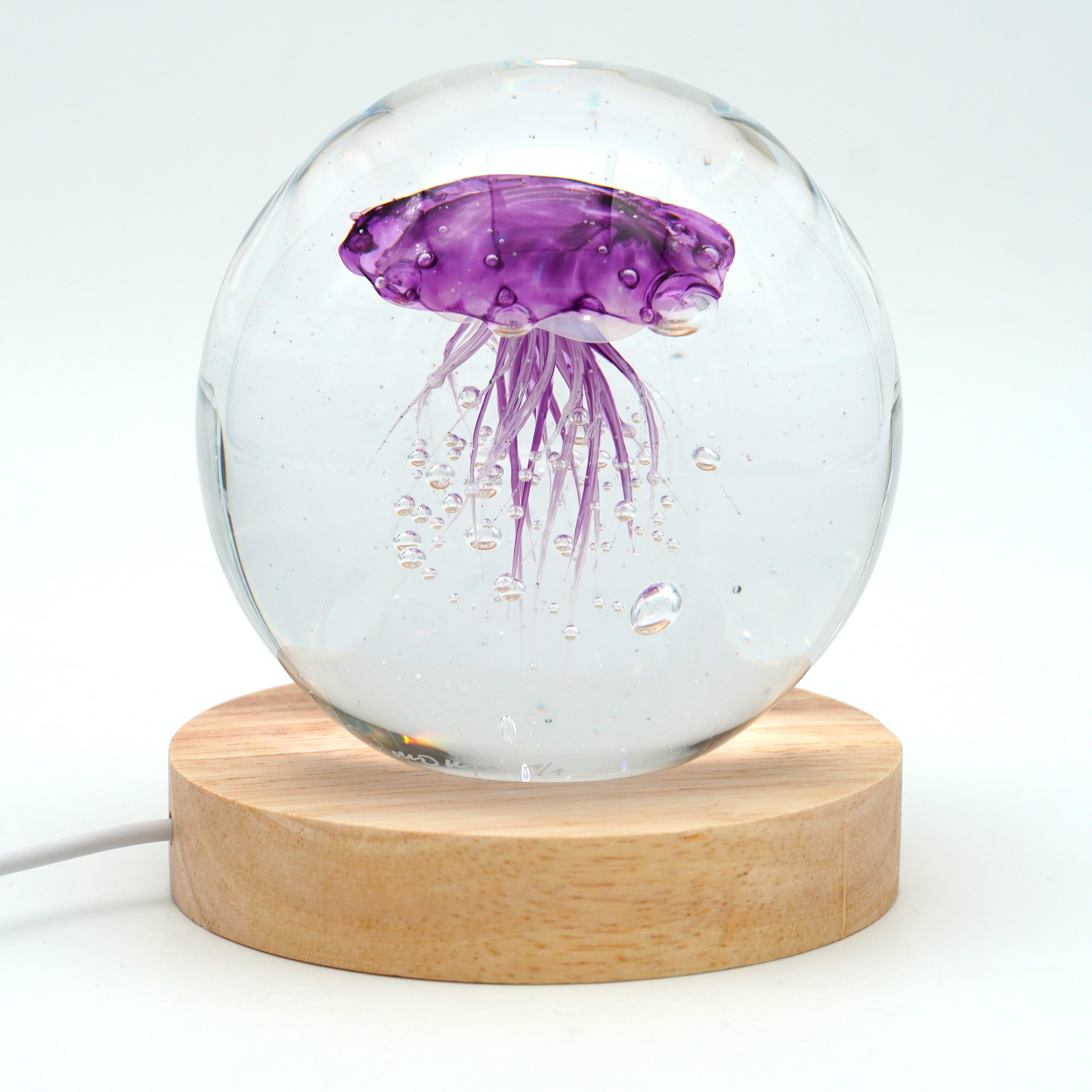 Méduse ronde (déclinable en 11couleurs)