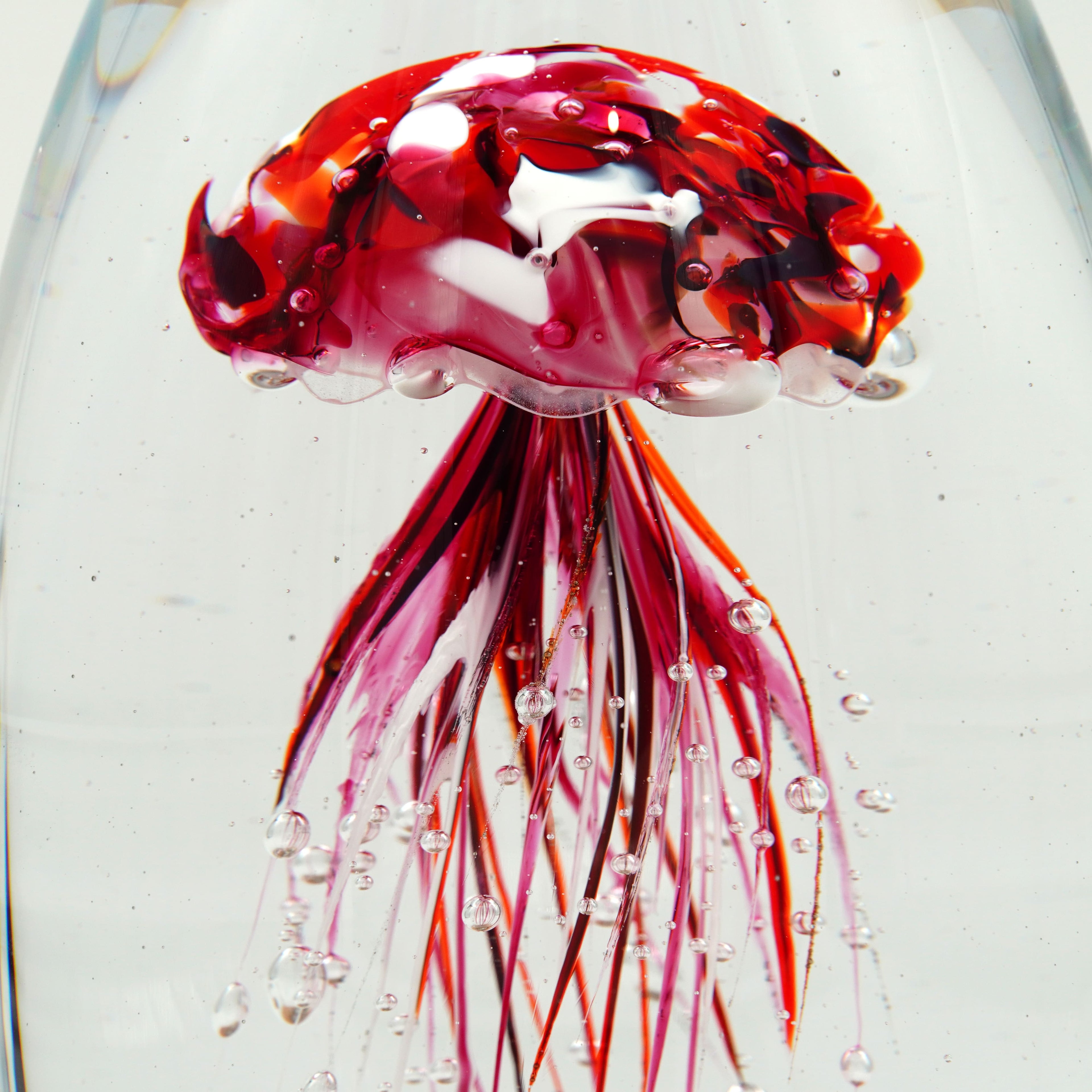 Méduse pourpre (pièce unique, un seul exemplaire)