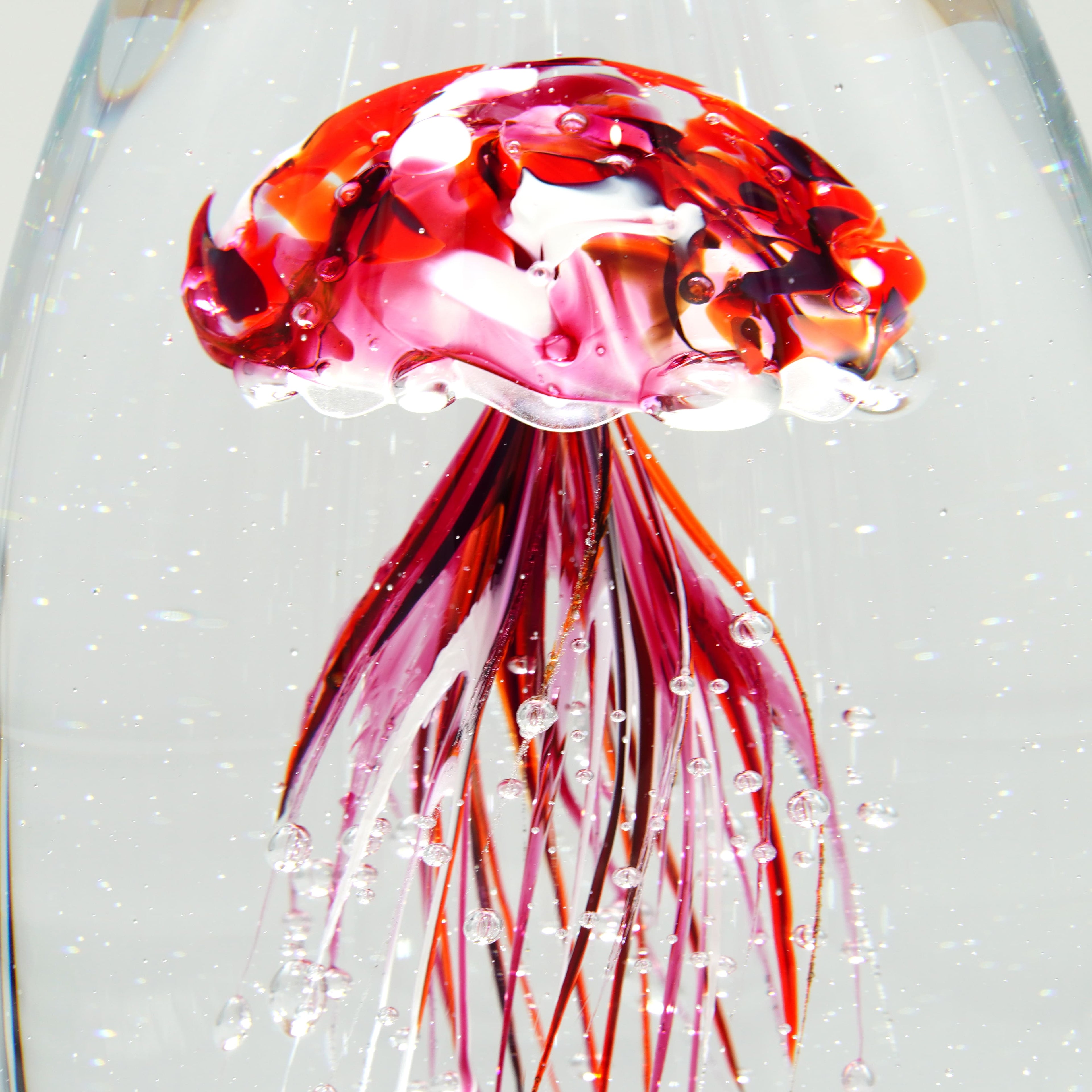 Méduse pourpre (pièce unique, un seul exemplaire)