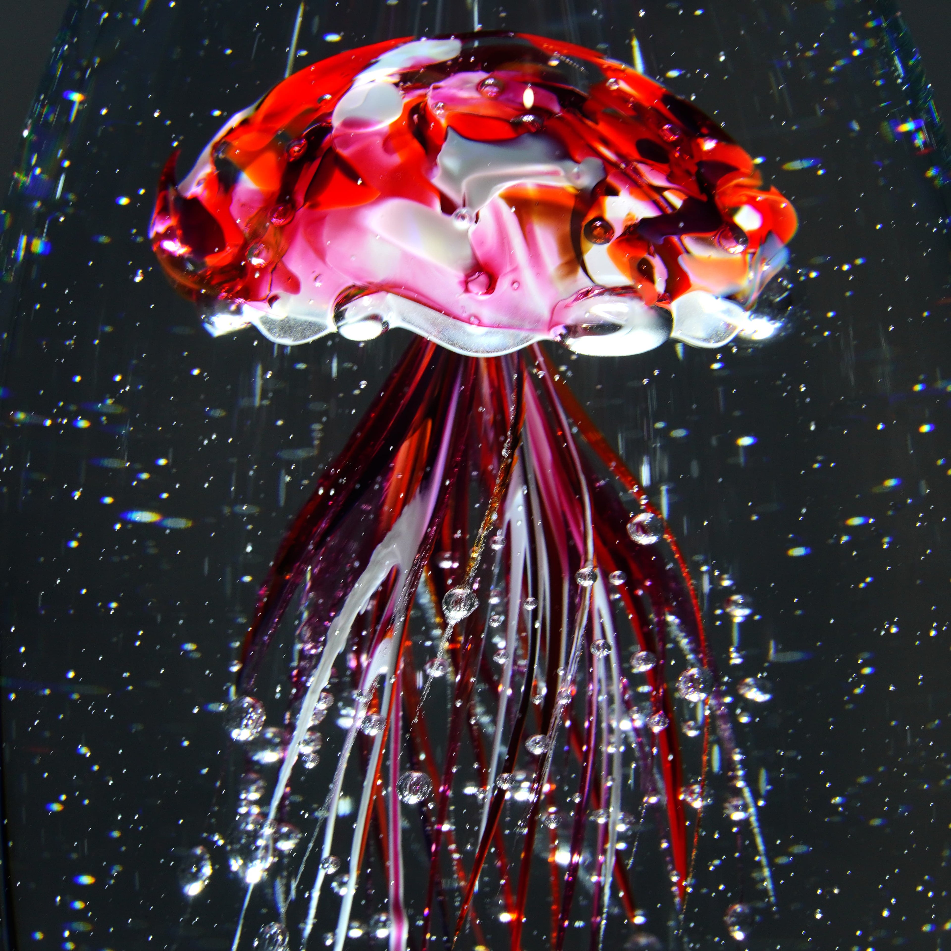 Méduse pourpre (pièce unique, un seul exemplaire)